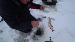 Зимняя рыбалка Ловля на безмотылку сороги-плотвы на Горе Море зима 2018-2019г