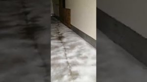 Подавление запаха  в кузове,  грузового автомобиля!