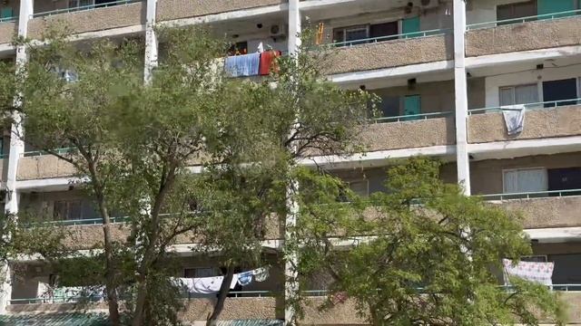 Первый день в Актау | Каспийском море | Кормим котиков смотреть онлайн