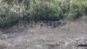 ‼?☠Жутковатое видео с фронта ? 
 "Хохол понял, что война не для него, забрал свою руку и побежал