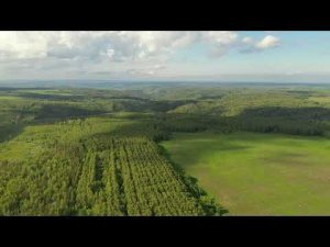 Оренбургская обл, окрестности деревни Чукари Ивановка.