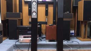 ?? Yamaha NS-F210