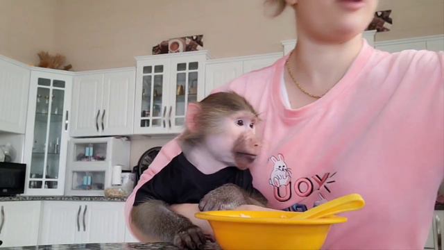 #Гамадрил #Ники #Луна настроение сегодня- баловаться 🙊