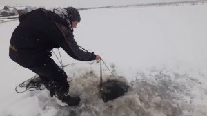 Ловля щекура на ямале!Село Яр-Сале.