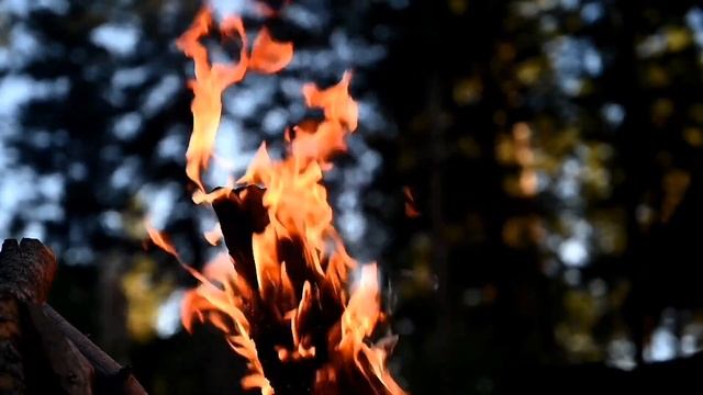 "Что наша жизнь?" новая авторская песня Светланы Бурштын смотреть онлайн