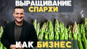 Как это сделано: выращивание спаржи / Сельское хозяйство-это бизнес? / Как начать?