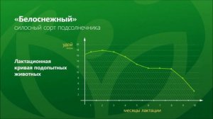 ОБЗОР - Силосный сорт подсолнечника Белоснежный