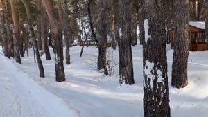База отдыха Стрельникова/Корпоратив/Отдых.