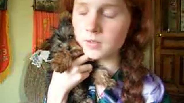 Рикки-Тикки-Тави.AVI смотреть онлайн