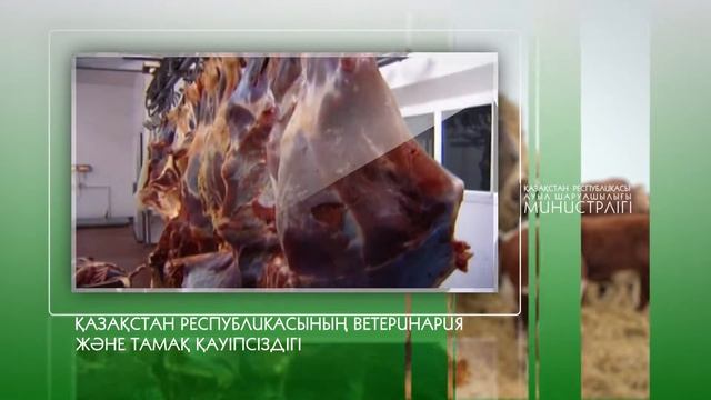 Ветеринарная и пищевая безопасность РК (kz) смотреть онлайн