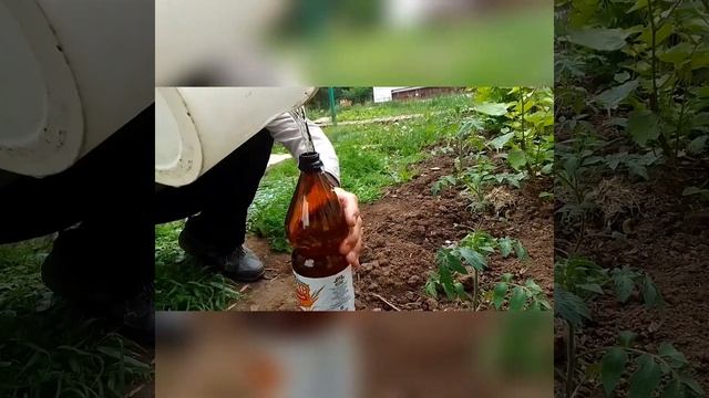 АВТОПОЛИВ ИЗ ОБЫЧНОЙ ПЛАСТИКОВОЙ БУТЫЛКИ!(1,5 л.) смотреть онлайн