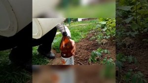 АВТОПОЛИВ ИЗ ОБЫЧНОЙ ПЛАСТИКОВОЙ БУТЫЛКИ!(1,5 л.)
