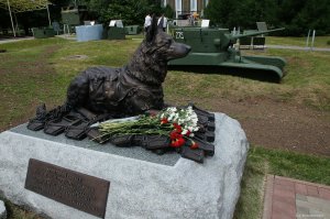 Памятник фронтовой собаке на Поклонной горе (г. Москва)