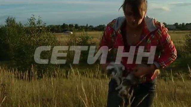 Поле котят в Сормовском районе смотреть онлайн