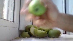 Яблоки Семеренко (Apples Semerenko) "Crush Test" Niko Bellic