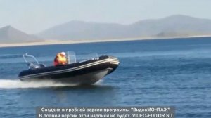 Лодка РИБ Trident Piton 450 + Honda BF50