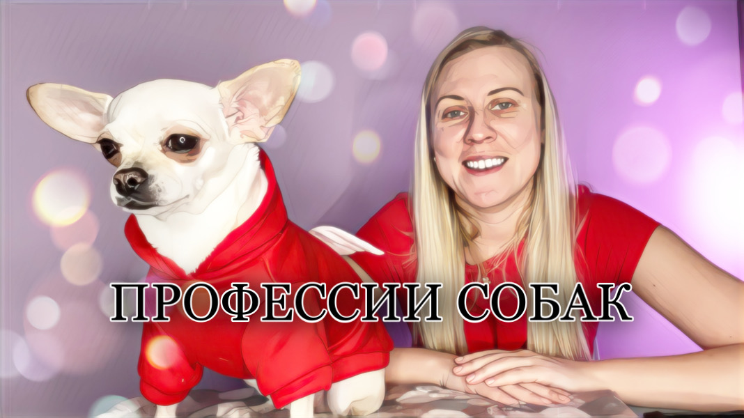 ПРОФЕССИИ СОБАК смотреть онлайн
