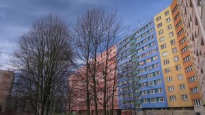 2019 Test NIKON Z6 + KIT LENS 24-70mm f/4