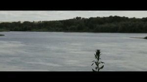 Ростовская обл. ст.Казанская