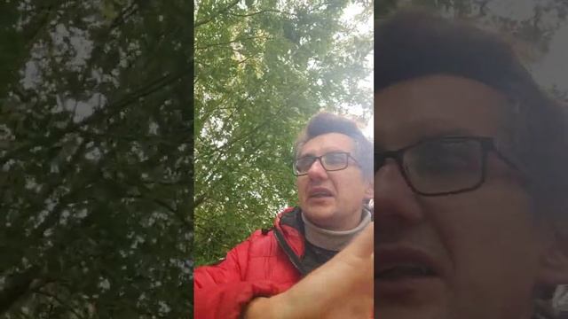 Слава наполняет день ныне сегодня Отец производит и хотение и действие по своему Благоволению