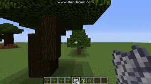 Let's Build in Minecraft Dark Oak Tree