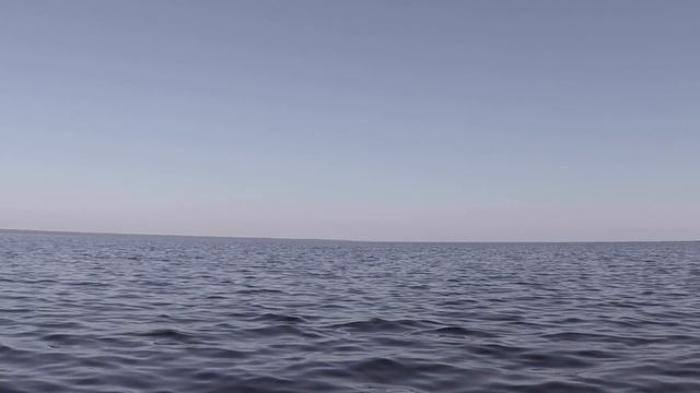 Рыбинка 2017 12 смотреть онлайн