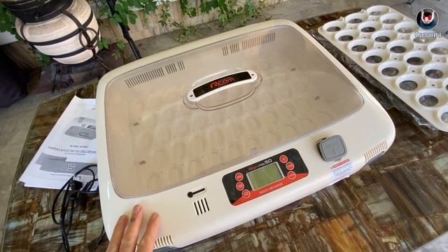 Инкубатор R COM Pro 50. Лучший инкубатор? смотреть онлайн