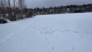 Бани Викинг спустя 4 года. Детальный обзор.