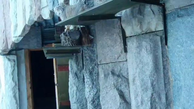 МАНУЛ ТИМоФЕЙ МОСКОВСКИЙ ЗООпАРК🐱🥰MANUL TIMOFEY MOSCOW ZOO🐱🥰