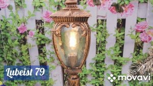 территория магазина Фермер (п. Сосны)