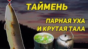 На рыбалке. Из парного тайменя. Уха с дымком да тала с чесноком.