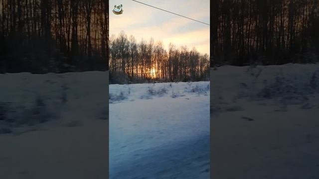 Закат из поезда #shorts #short ??