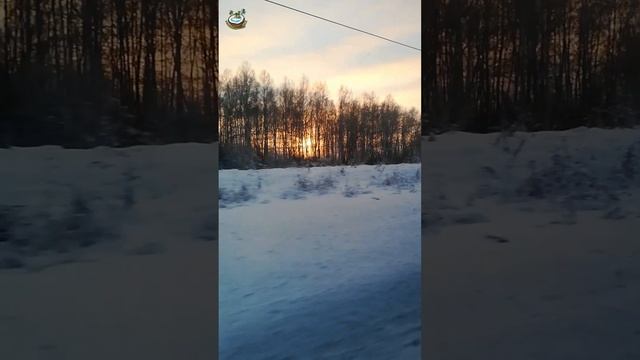 Закат из поезда #shorts #short ??