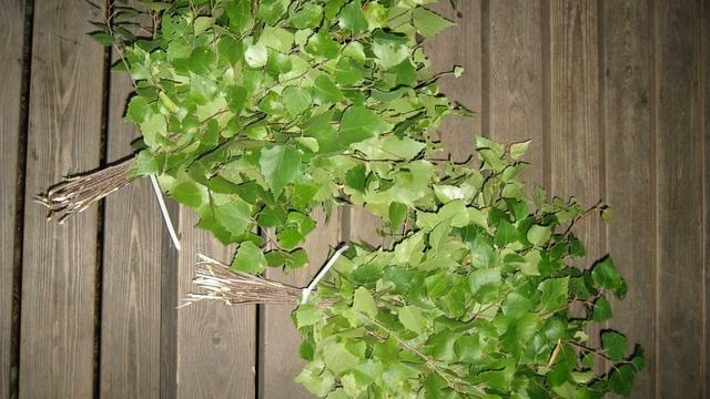 Правильный веник. Заготавливаем банные веники смотреть онлайн