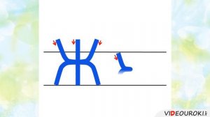 Звук и буква Ж