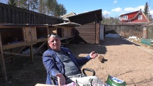 В гостях у Рафика Рустамова. "Какие голубятники, такие и голуби"