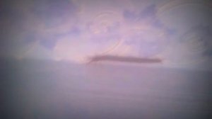 сколопендра в квартире