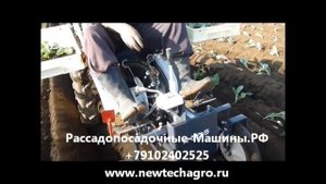 мини самоходная рассадопосадочная машина