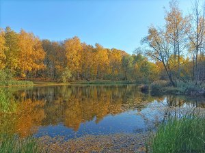 Покровское-Стрешнево