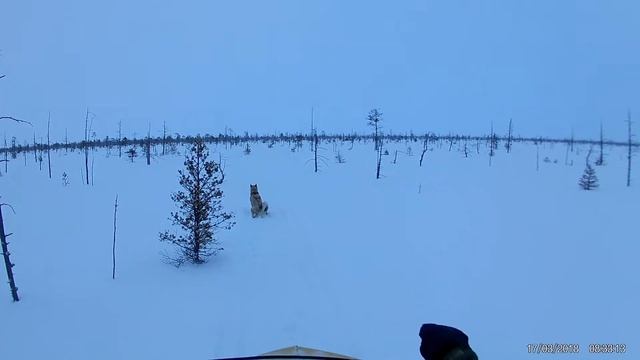 Пермские озёра, зимой. смотреть онлайн