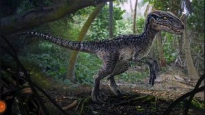 ВЕЛОЦИРАПТОР. ИСТОРИЯ НАХОЖДЕНИЯ И ПАЛЕОБИОЛОГИЯ!