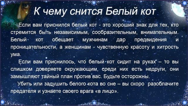 К чему снится Белый кот – толкование сна по Соннику