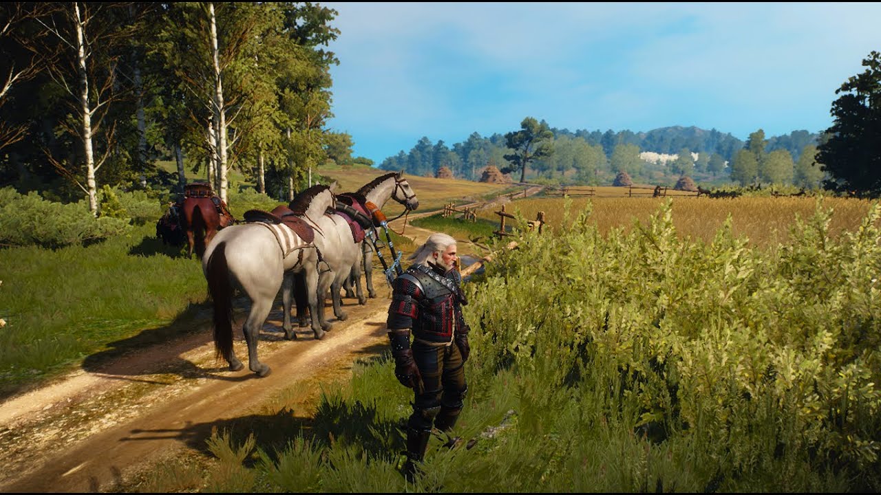 The Witcher 3 Wild Hunt Конная Многоножка!