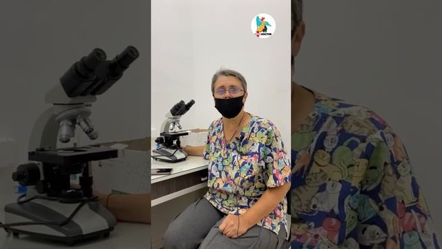 Стригущий лишай / что это и как лечить / отвечает ветеринар