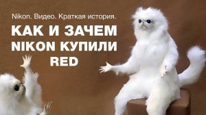 Nikon. Видео. Краткая история.  КАК И ЗАЧЕМ NIKON КУПИЛИ RED