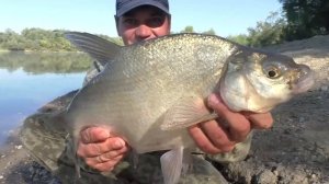 Кто клюёт в ЯМЕ на поплавок , Карась или Лещ ???