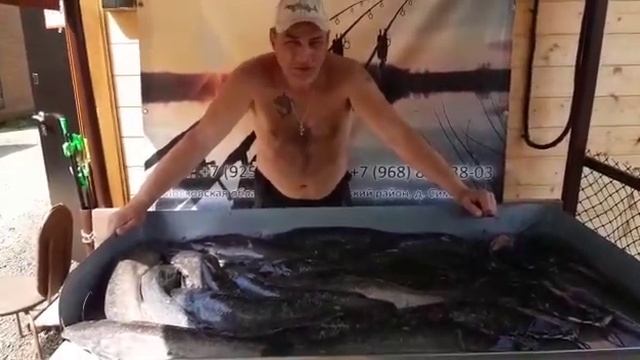 Клевая рыбалка у Алексея!