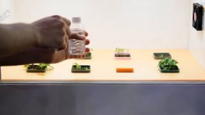 Питательный раствор и первый запуск после посадки семян.