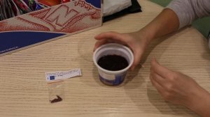 Голубая(синяя) клубника миф или реальность! часть 1 посев!