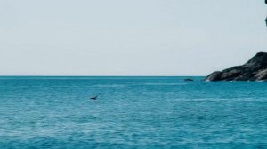 Побережье Охотского моря. Август, 2021 год.